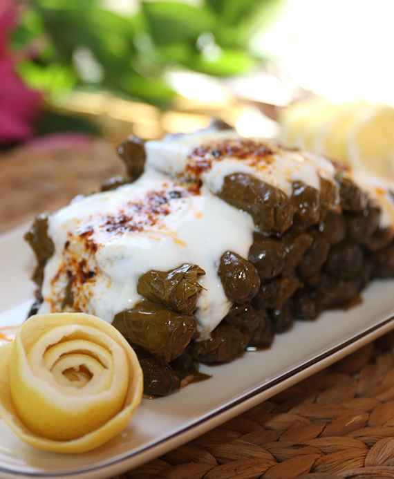 Yaprak Sarma KG
